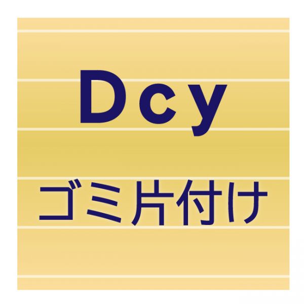 dcyゴミ片付け