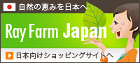 日本のショッピングサイト